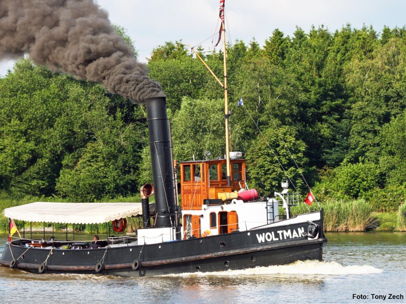 319-woltman800-600